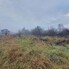 Teren de vânzare Sud - 163789TV - Poza 1 din 2 | BLITZ Bistriţa | Poza2