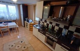 Casa cu 6 camere, 420 mp + 10 arii teren, 