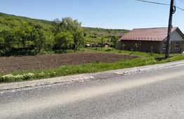 Teren intravilan de vanzare 2100 mp Herina