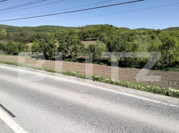 Teren de vânzare Exterior Est - 163801TV | BLITZ Bistriţa | Poza2