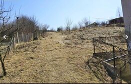 Teren intravilan, 1000mp, zona exterior Est