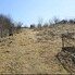 Teren de vânzare Exterior Est - 163806TV - Poza 1 din 1 | BLITZ Bistriţa | Poza1