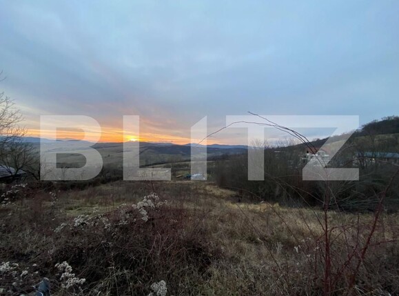 Teren de vânzare Exterior Est - 163827TV | BLITZ Bistriţa | Poza2