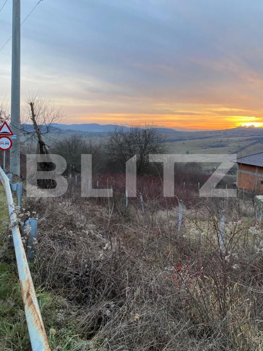 Teren de vânzare Exterior Est - 163827TV | BLITZ Bistriţa | Poza3