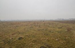 Teren extravilan 6772 mp, posibilitate de parcelare 500mp AERODROM