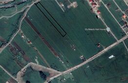 Teren extravilan 6772 mp, posibilitate de parcelare 500mp AERODROM