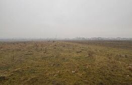 Teren extravilan 6772 mp, posibilitate de parcelare 500mp AERODROM