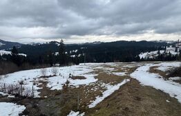 Oportunitate de investitie, teren intravilan, 5000 mp, TIhuta la sosea. 