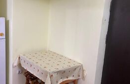 Garsoniera, 30 mp, etaj intermediar, zona Independentei