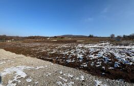 Teren intravilan de vanzare, 500 mp, zona Leoni