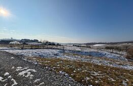 Teren intravilan de vanzare, 500 mp, zona Leoni