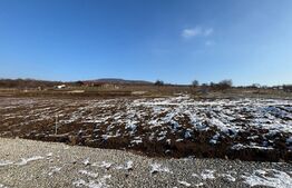 Teren intravilan de vanzare, 500 mp, zona Leoni