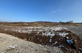 Teren intravilan de vanzare, 550 mp, zona Leoni