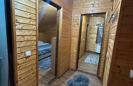 Cabana Baile Figa,3 camere,90mp,182mp teren,gratar,foisor