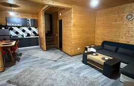 Cabana Baile Figa,3 camere,90mp,182mp teren,gratar,foisor