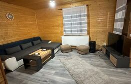 Cabana Baile Figa,3 camere,90mp,182mp teren,gratar,foisor