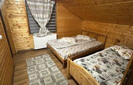 Cabana Baile Figa,3 camere,90mp,182mp teren,gratar,foisor