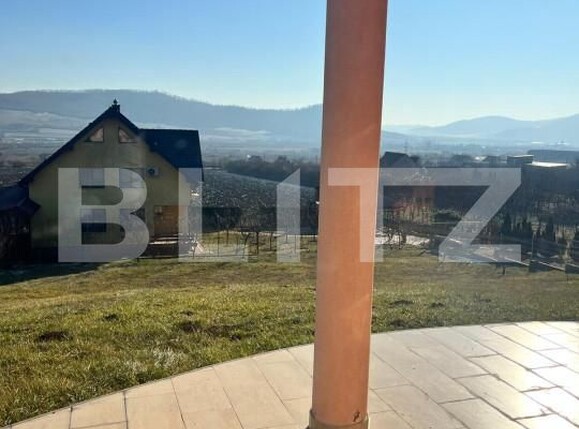 Casa de vânzare 5 camere Viișoara - 164247CV | BLITZ Bistriţa | Poza7