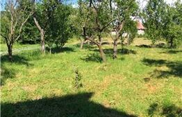 Casă de vânzare, cu 3 camere, 100 m², teren 5 arii, zona Ciceu-Mihaesti