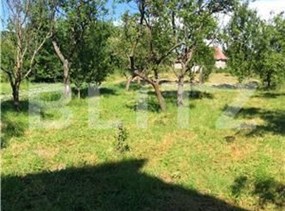 Casa de vânzare 3 camere Exterior Vest - 164250CV | BLITZ Bistriţa | Poza4