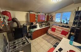 Oportunintate de investitie cu multiple avantaje, 7800 m² teren, HERINA