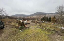 Oportunintate de investitie cu multiple avantaje, 7800 m² teren, HERINA