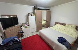 Oportunintate de investitie cu multiple avantaje, 7800 m² teren, HERINA