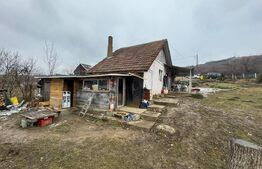 Oportunintate de investitie cu multiple avantaje, 7800 m² teren, HERINA