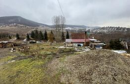 Oportunintate de investitie cu multiple avantaje, 7800 m² teren, HERINA