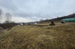 Oportunintate de investitie cu multiple avantaje, 7800 m² teren, HERINA