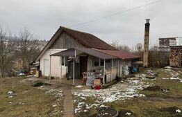 Oportunintate de investitie cu multiple avantaje, 7800 m² teren, HERINA