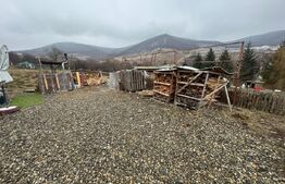 Oportunintate de investitie cu multiple avantaje, 7800 m² teren, HERINA