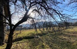 Casa de vânzare în Bistrița-Bargaului cu 30 arii teren 