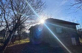 Casa de vânzare în Bistrița-Bargaului cu 30 arii teren 