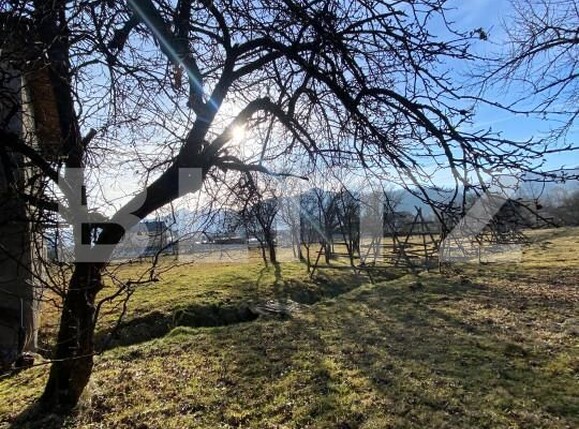 Casa de vânzare 4 camere Nord-Est - 164367CV | BLITZ Bistriţa | Poza4