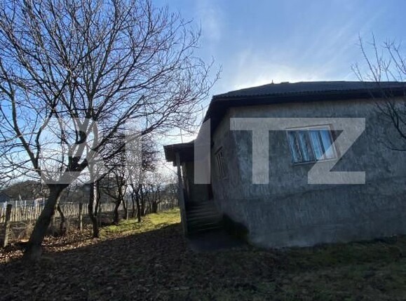 Casa de vânzare 4 camere Nord-Est - 164367CV | BLITZ Bistriţa | Poza3