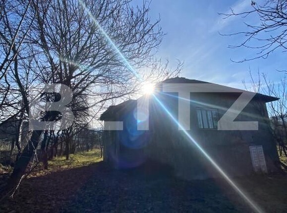 Casa de vânzare 4 camere Nord-Est - 164367CV | BLITZ Bistriţa | Poza2