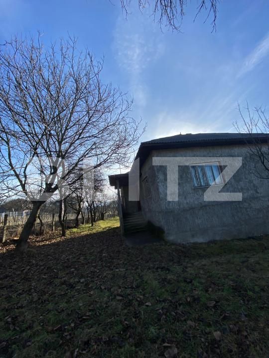 Casa de vânzare 4 camere Nord-Est - 164367CV | BLITZ Bistriţa | Poza3