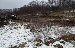 Teren intravilan cu proiect de casa 1560 mp strada Codrului NEGOCIABIL