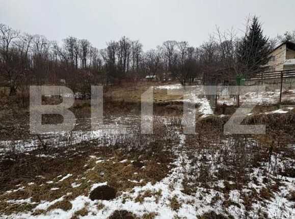 Teren de vânzare Est - 164401TV | BLITZ Bistriţa | Poza6