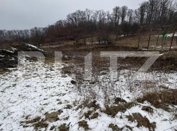 Teren de vânzare Est - 164401TV | BLITZ Bistriţa | Poza7