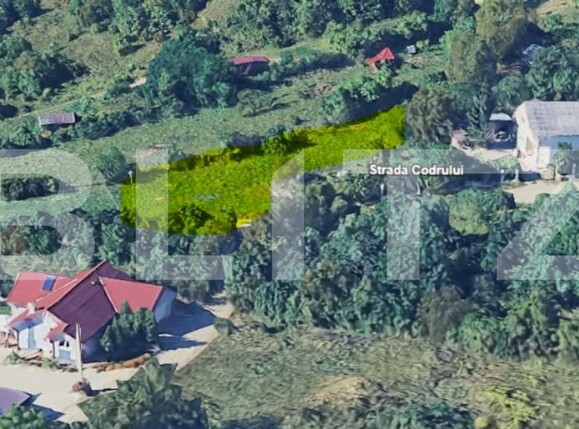 Teren de vânzare Est - 164401TV | BLITZ Bistriţa | Poza2