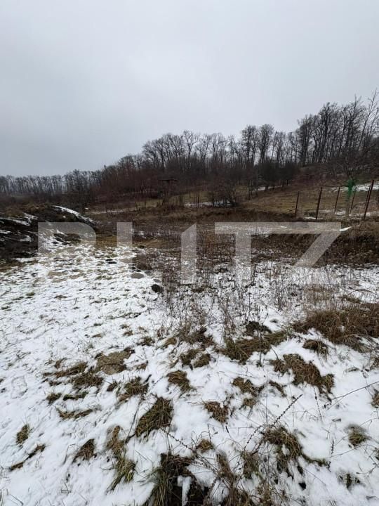 Teren de vânzare Est - 164401TV | BLITZ Bistriţa | Poza7