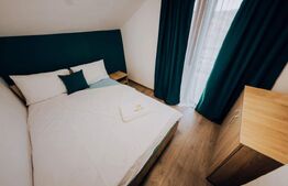 Cabana rustica,4 camere,90mp utili,foisor,gratar,teren 182mp,zona Baile Figa