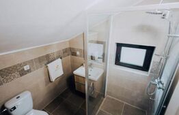 Cabana rustica,4 camere,90mp utili,foisor,gratar,teren 182mp,zona Baile Figa