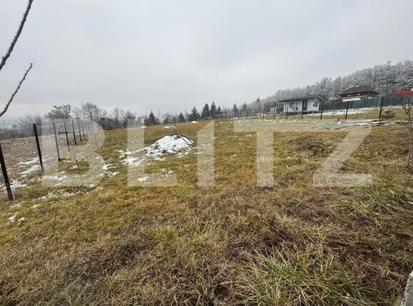 Teren de vânzare Centura - 164435TV | BLITZ Bistriţa | Poza2