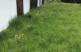 Teren intravilan de 3,8 H de vânzare, Piatra Fântânele