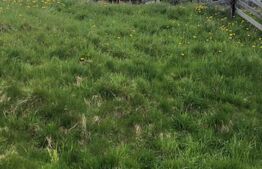 Teren intravilan de 3,8 H de vânzare, Piatra Fântânele