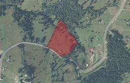 Teren intravilan de 3,8 H de vânzare, Piatra Fântânele