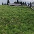 Teren de vânzare Exterior Nord - 164499TV - Poza 1 din 5 | BLITZ Bistriţa | Poza3